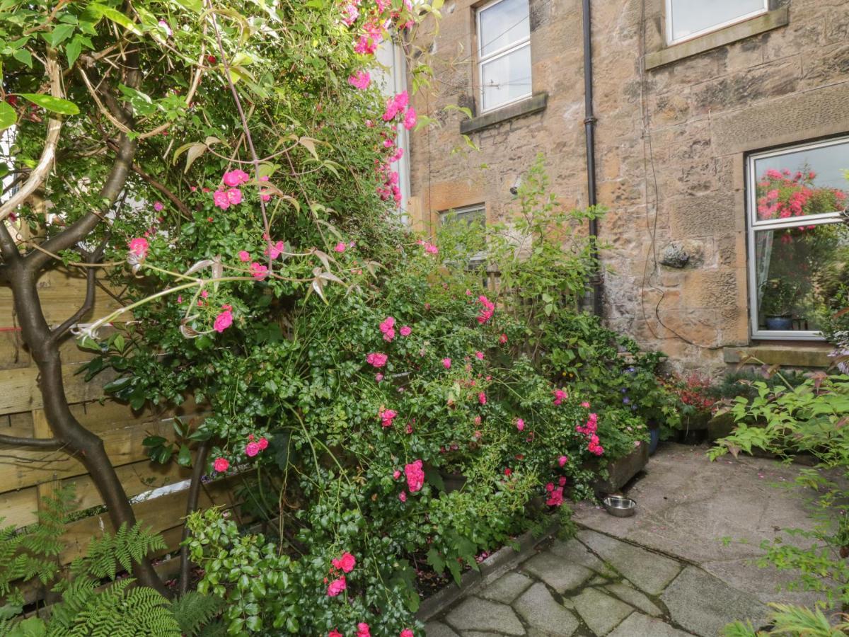 6 Ronald Place Stirling Esterno foto